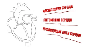 Физиология сердца. Автоматия сердца. Проводящие пути сердца.