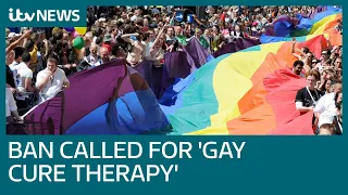 Majority of UK public want gay 'conversion therapy' banned, as campaigners fear delay | ITV News