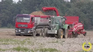 Kartoffelernte 2017 / Fendt / John Deere / MAN / New Holland / Grimme / Horsch