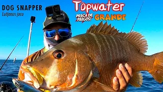 Dog Snapper ( Pargo Perro ) Topwater fishing