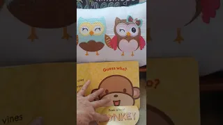 Peek-A-Boo Zoo Book