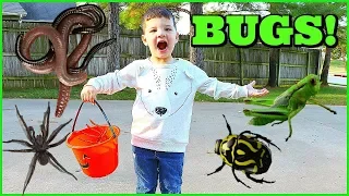 BUG HUNT With Caleb & Mommy! CATCHING BUGS For Kids!