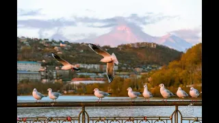 ПЕСНЯ О КАМЧАТКЕ