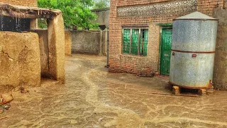 Heavy Rain In Punjab Village | Rural Life | Rainy Season In Pakistan