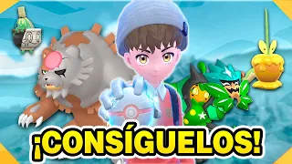 ✨¡Cómo Conseguir TODOS LOS NUEVOS POKÉMON de NOROTEO en el DLC de Pokémon Escarlata y Púrpura!