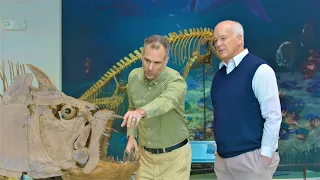 How Did Noah's Flood Create the Fossil Record? - Dr. Marcus Ross