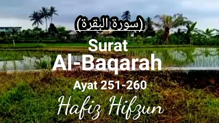 Surah Al-Baqarah Ayat 251-260//insan Qur'ani