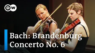 Bach: Brandenburg Concerto No. 6 | Claudio Abbado & the Orchestra Mozart