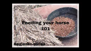 FEEDING YOUR HORSE 101 - FOR BEGINNERS