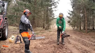 Logging and Cleaning the Forest With The Family / LOG CABIN Building (S4 Ep14)