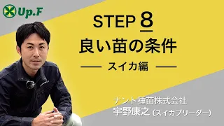 【Up.FTV スイカ編 STEP8】苗作りで失敗する3つの要因