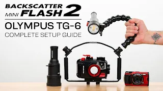 How To Use Backscatter Mini Flash 2 & Olympus TG-6 | Complete Setup Guide #underwaterphotography