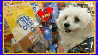 Buying a Special Needs Puppy EVERYTHING She Touches (Before Heart Surgery)