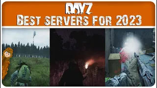 The BEST PC Servers On DayZ