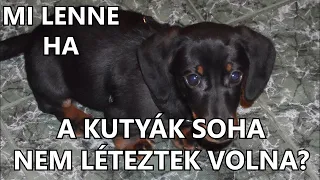 Mi lenne, ha a kutyák soha nem léteztek volna?