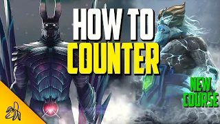 Intro to Countering Heroes Course