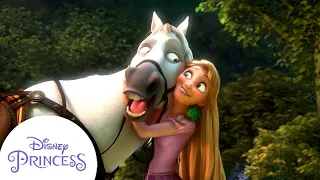 Rapunzel Wins Over Maximus | Tangled