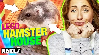 LEGO Hamster House Obstacle Course - REBRICKULOUS