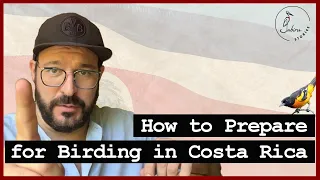 What you should know before birding in Costa Rica | How to prepare, what to bring, and where to go