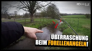 Ist dieser FLUSS komplett TOT?😱 Überraschung beim Angeln auf Bachforellen