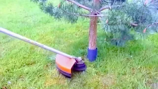 HOW TO CUT GRASS AROUND TREES WITHOUT HITTING BARK | BRUSH CUTTER,LAWN MOWER,EDGE TRIMMER PROTECTION