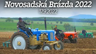 Novosadská Brázda 4.ročník - 17.9.2022