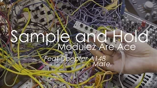 Why Sample and Hold Modules Are Ace