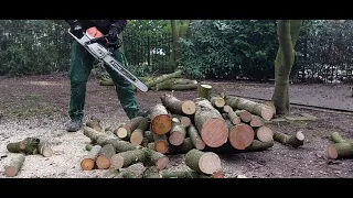 Big Chainsaw, Small wood, Lots of fun with Stihl MS 462C