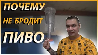 Не бродит пиво, что делать? Перестало бродить, не булькает гидрозатвор 😱