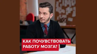 Как почувствовать работу мозга? | Андрей Курпатов