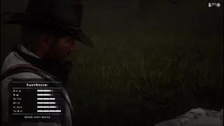 الميداليات الذهبيه الجانبيه 1 RDR 2