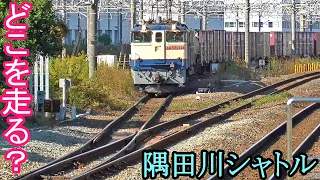 【貨物】隅田川シャトルの走行ルートを追跡【隅田川駅→東京貨物ターミナル】