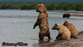 Неизвестный - На рыбалку с утреца...