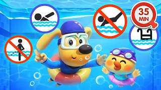 Seguridad en la Piscina 🏊 35MIN de Dibujos Animados 🔍Sheriff Labrador en Español