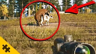 Far Cry 5 - СЕКРЕТ БЫЧЬИХ ПОЛОВЫХ ОРГАНОВ и ФЕРМЫ ДЕЙВЕНПОРТА