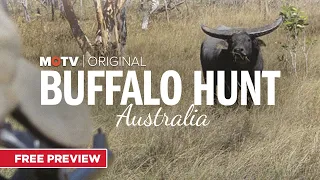 MOTV Original Buffalo Hunt Australia | FREE Preview