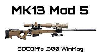 MK13 Mod 5 Clone (SOCOM's 300 Win Mag Sniper Rifle)