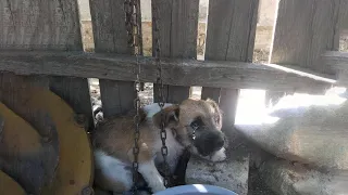 He is totally broken down, chained with a heavy chained at the corner hopeless waiting for help!