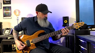 Rosetta Stoned bass cover | Tool | Wal MK 3