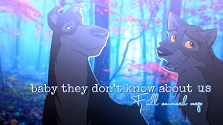 They Dont Know About Us | FULL ANIMASH MEP