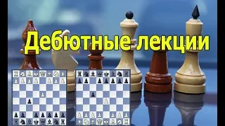 ПРАЗДНИК ГАМБИТ ХЕЛЛОУИН.  Как играть за черных ? Дебюты