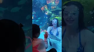 mermaid show at las vegas