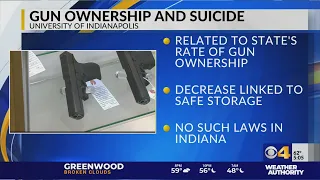 Study links teen suicide, gun ownership