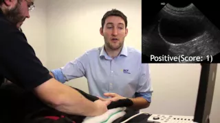 Abdominal Ultrasound FAST Scanning Techniques for Dogs Video 6 - Cystocolic View