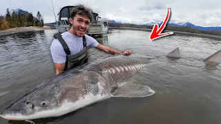 I caught the BIGGEST FISH on the Planet.. (RIVER MONSTER)