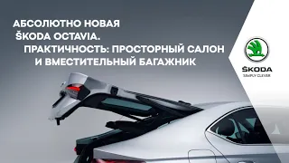 Видеопрезентация абсолютно новой ŠKODA OCTAVIA А8