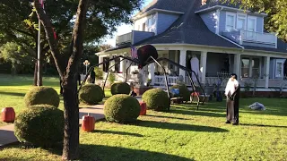 Huge spider prop build - Halloween 2018