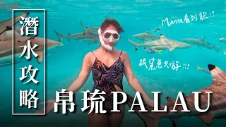 帛琉潛水全攻略！一生必去一次的絕美帛琉！Diving in Palau