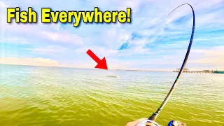 FISHING GALVESTON Bay for AGGRESSIVE! Speckled TROUT (Catch, Clean, Cook)