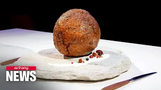 Giant meatball made by using mammoth DNA unveiled